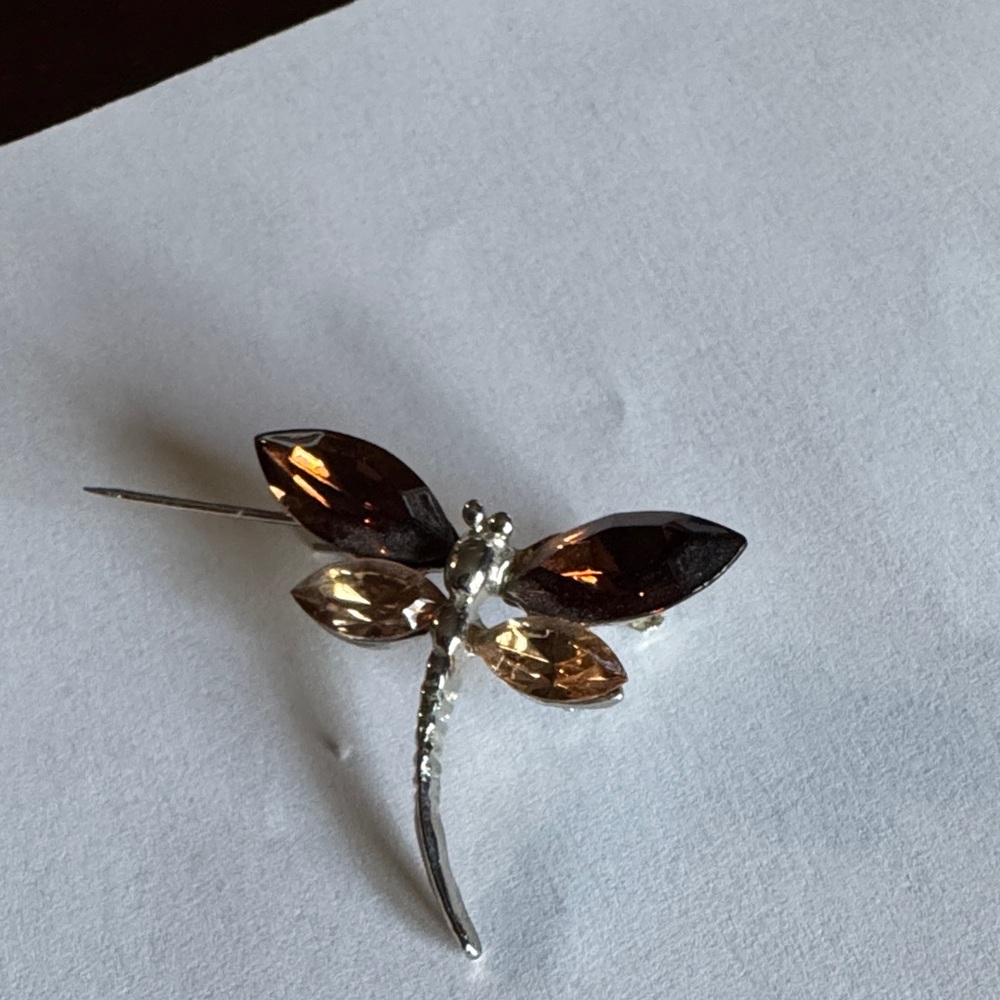 Elegant Silver and Brown Dragonfly Brooch